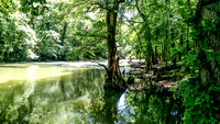 Tishomigo State Park, Mississippi